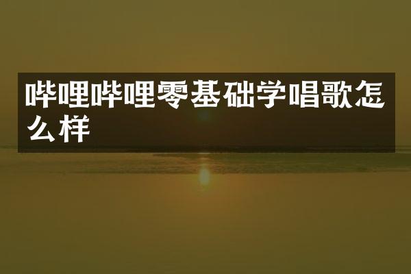 哔哩哔哩零基础学唱歌怎么样