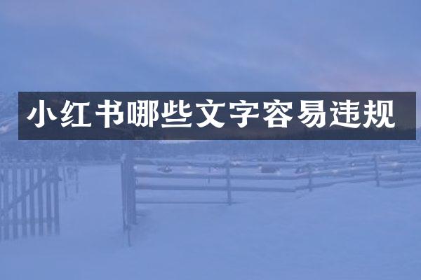 小红书哪些文字容易违规