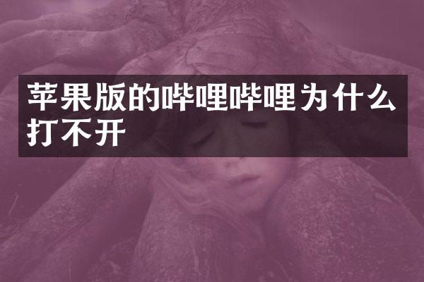 苹果版的哔哩哔哩为什么打不开