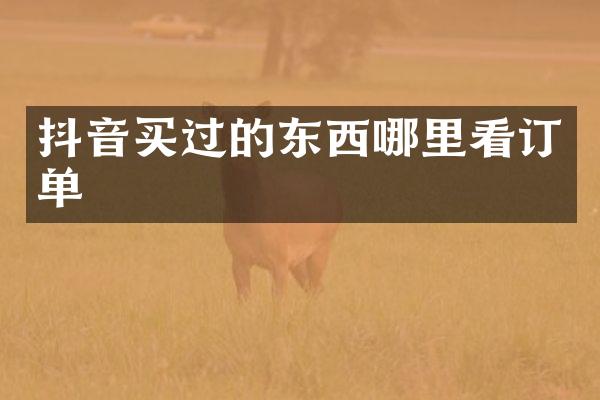 抖音买过的东西哪里看订单
