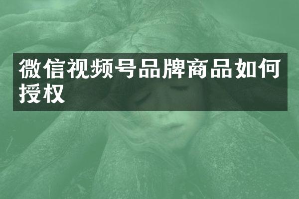 微信视频号品牌商品如何授权