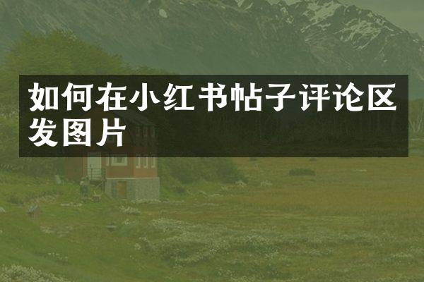 如何在小红书帖子评论区发图片