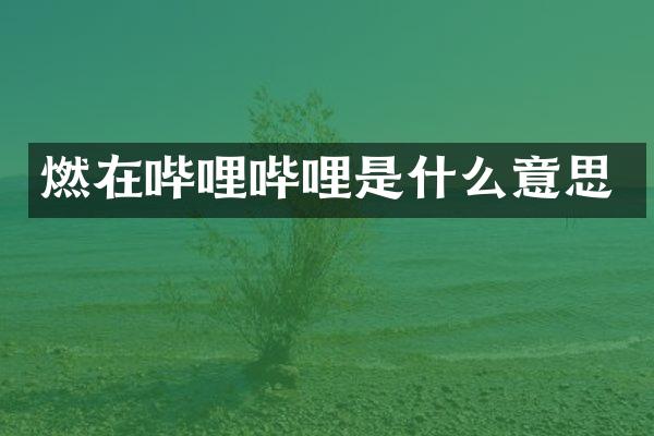 燃在哔哩哔哩是什么意思