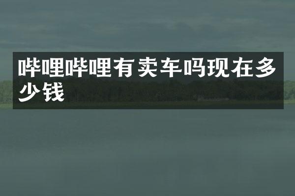 哔哩哔哩有卖车吗现在多少钱