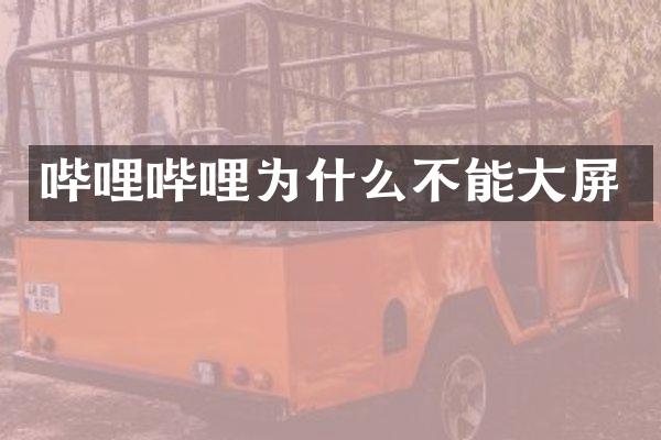 哔哩哔哩为什么不能大屏