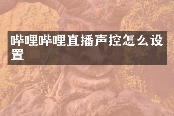 哔哩哔哩直播声控怎么设置