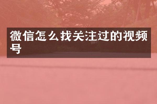 微信怎么找关注过的视频号