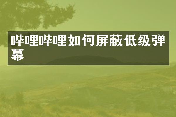 哔哩哔哩如何屏蔽低级弹幕