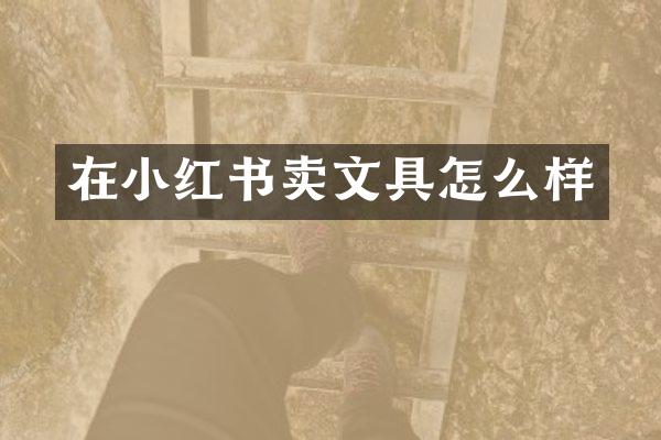 在小红书卖文具怎么样
