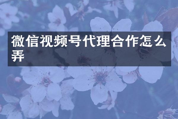 微信视频号代理合作怎么弄