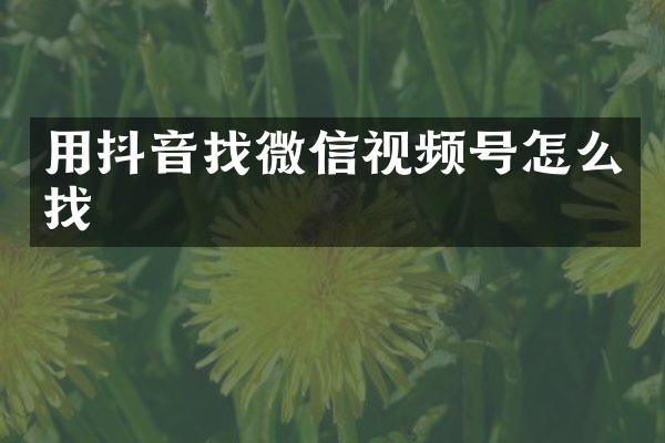用抖音找微信视频号怎么找