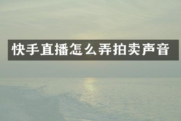 快手直播怎么弄拍卖声音