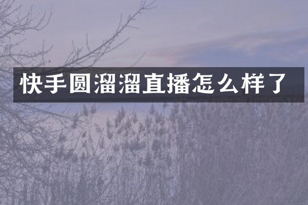 快手圆溜溜直播怎么样了