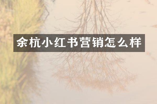 余杭小红书营销怎么样