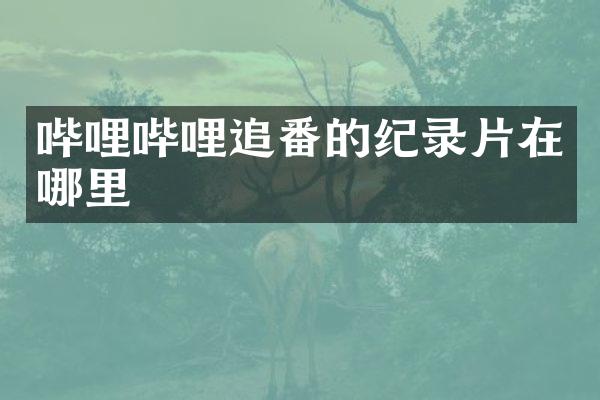 哔哩哔哩追番的纪录片在哪里