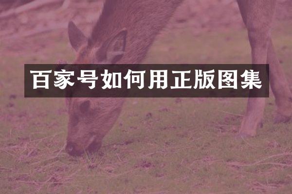 百家号如何用正版图集