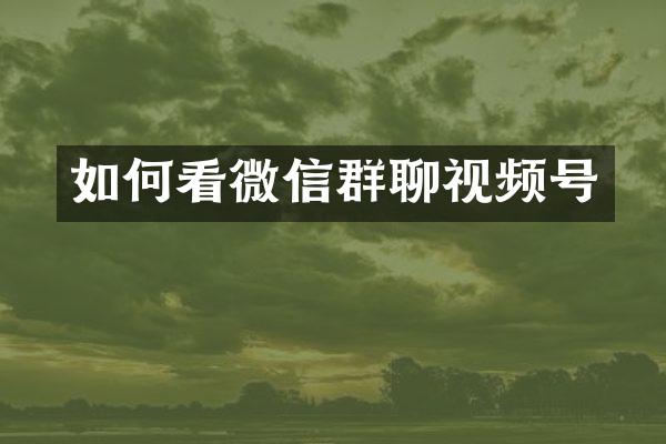 如何看微信群聊视频号