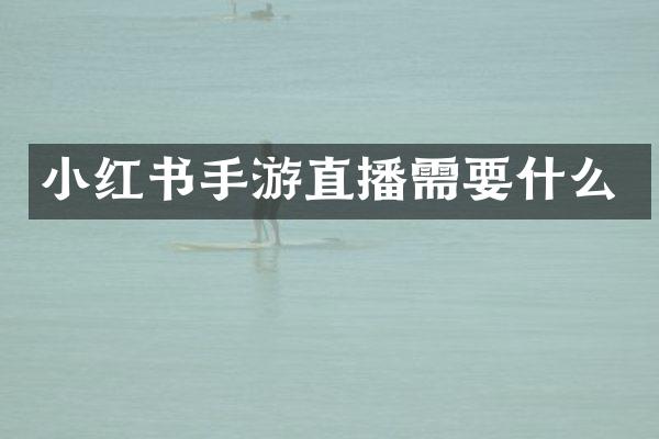 小红书手游直播需要什么
