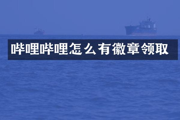 哔哩哔哩怎么有徽章领取