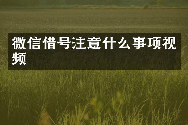 微信借号注意什么事项视频
