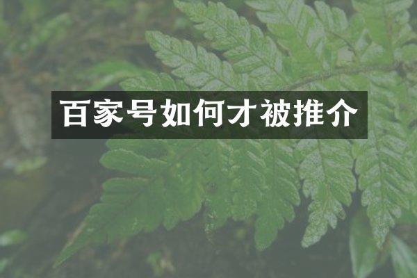 百家号如何才被推介