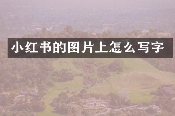 小红书的图片上怎么写字