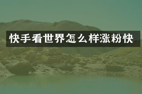 快手看世界怎么样涨粉快