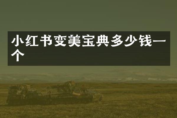 小红书变美宝典多少钱一个
