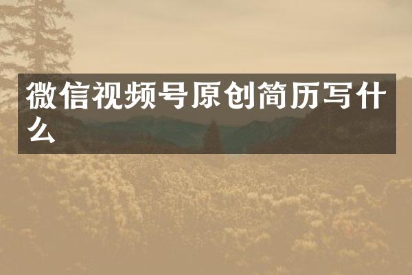 微信视频号原创简历写什么