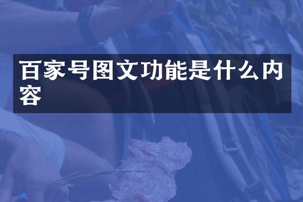 百家号图文功能是什么内容