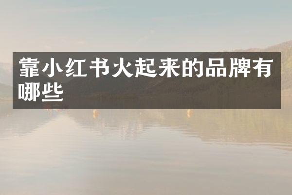 靠小红书火起来的品牌有哪些