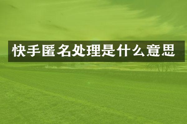 快手匿名处理是什么意思
