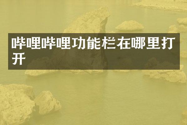 哔哩哔哩功能栏在哪里打开