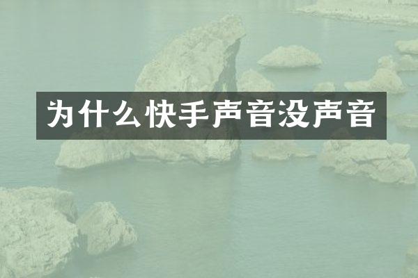 为什么快手声音没声音