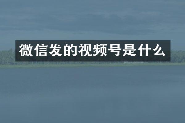 微信发的视频号是什么