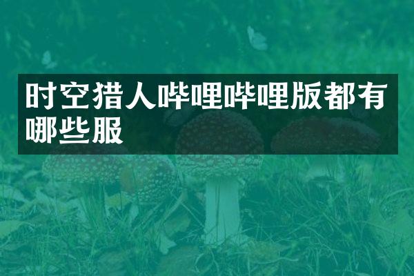 时空猎人哔哩哔哩版都有哪些服