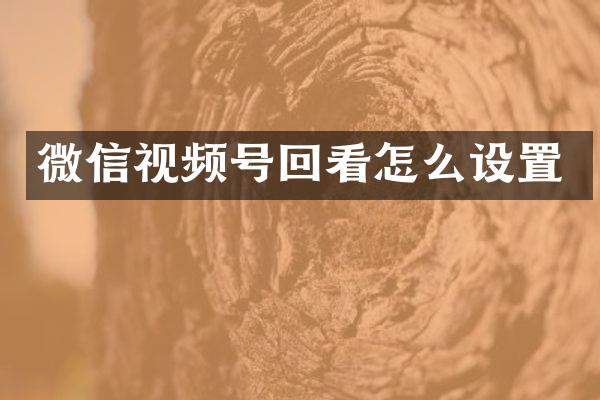 微信视频号回看怎么设置