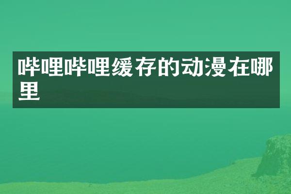 哔哩哔哩缓存的动漫在哪里
