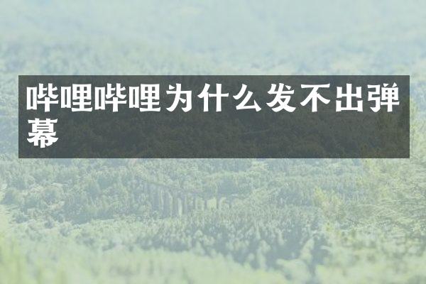 哔哩哔哩为什么发不出弹幕