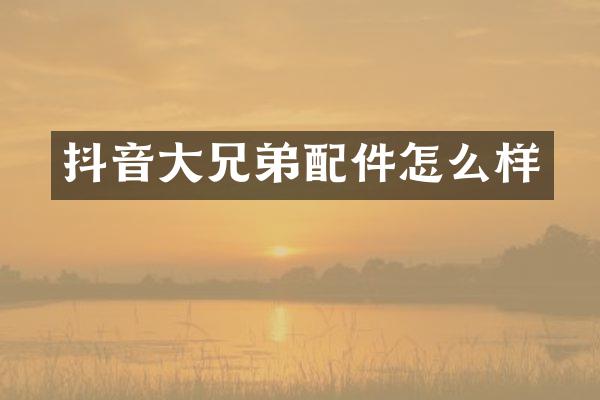 抖音大兄弟配件怎么样