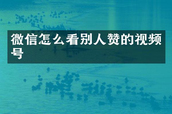 微信怎么看别人赞的视频号