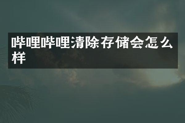 哔哩哔哩清除存储会怎么样