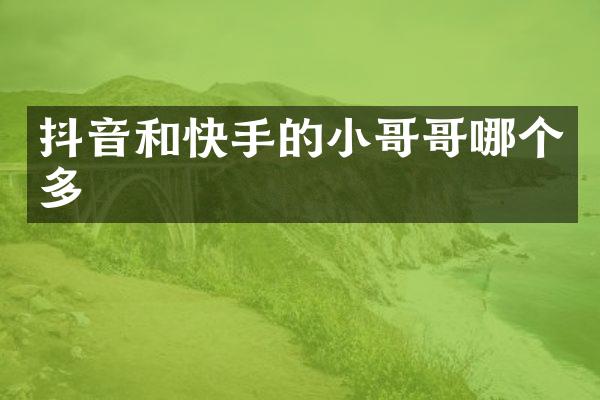 抖音和快手的小哥哥哪个多