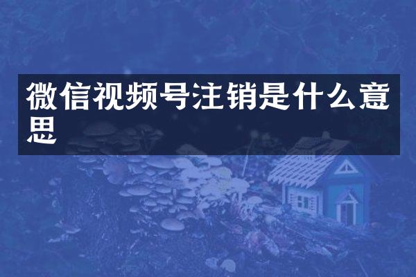 微信视频号注销是什么意思