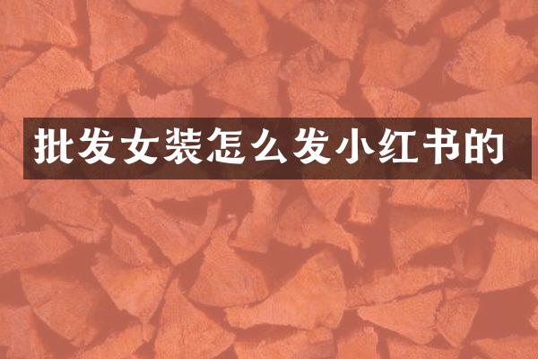 批发女装怎么发小红书的