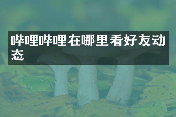 哔哩哔哩在哪里看好友动态