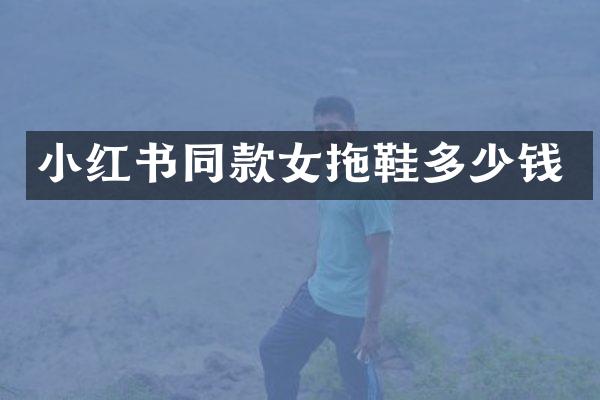 小红书同款女拖鞋多少钱