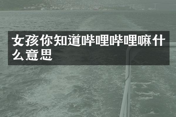 女孩你知道哔哩哔哩嘛什么意思