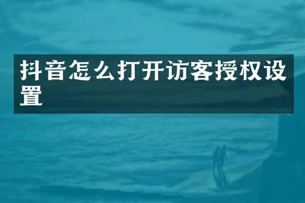 抖音怎么打开访客授权设置