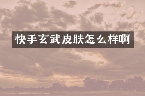 快手玄武皮肤怎么样啊